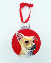Load image into Gallery viewer, Custom Pet Ornament On Clear Plastic Disc Ornament