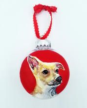 Load image into Gallery viewer, Custom Pet Ornament On Clear Plastic Disc Ornament
