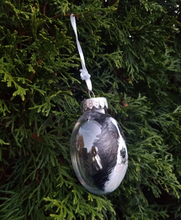 Load image into Gallery viewer, Custom Pet Ornament On Clear Plastic Disc Ornament