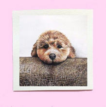 Load image into Gallery viewer, Pet Portrait Painting On Canvas Paper
