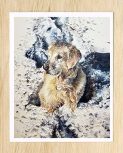 Load image into Gallery viewer, Painted Pet Portrait on Canvas Paper