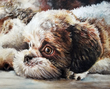 Load image into Gallery viewer, Custom Pet Canvas Paper (Jumbo SIze)