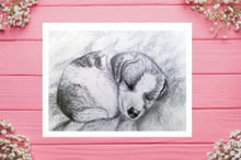 Load image into Gallery viewer, custom drawn pet portrait