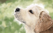 Load image into Gallery viewer, Custom Pet Portrait