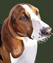 Load image into Gallery viewer, Custom Pet Portrait
