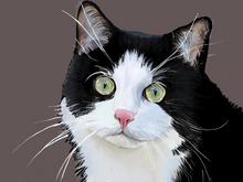 Load image into Gallery viewer, Custom Pet Portrait