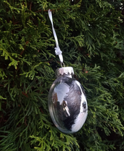 Load image into Gallery viewer, Custom Pet Ornament On Clear Plastic Disc Ornament
