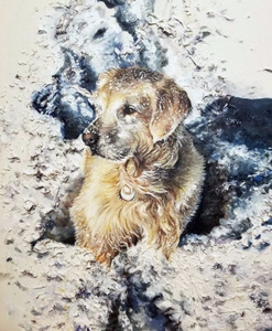 Painted Pet Portrait on Canvas Paper